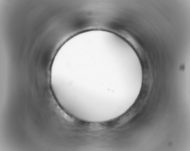 X0000092090807200709121511