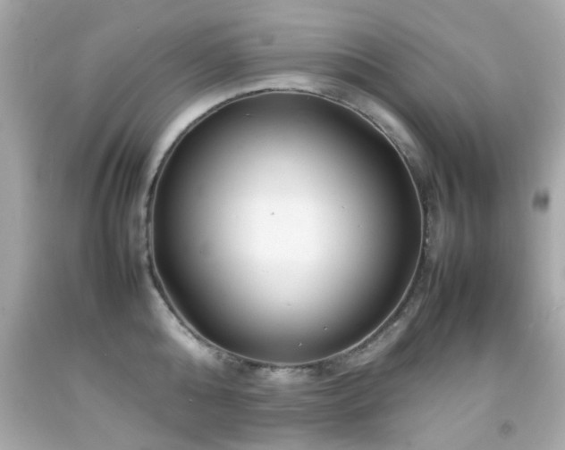 X0000092090808200709121511