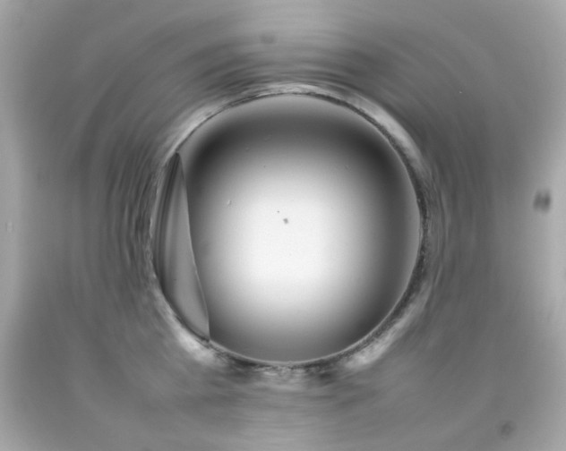 X0000092090809200709121511
