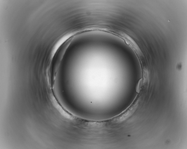 X0000092090812200709121511