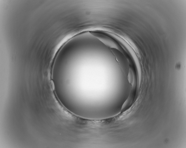 X0000092090813200709121511