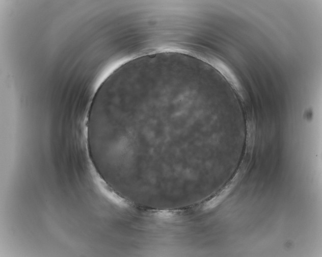 X0000092090814200709121511