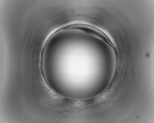 X0000092090815200709121511