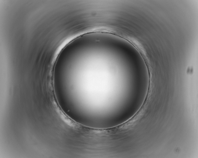 X0000092090816200709121511