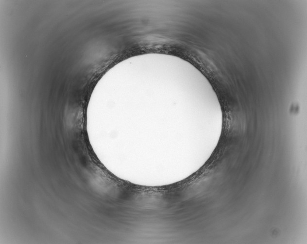 X0000092090820200709121511