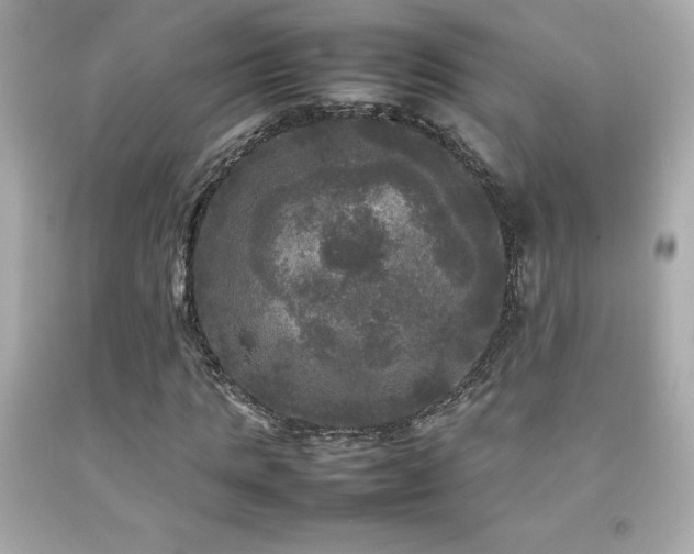 X0000092090821200709121511