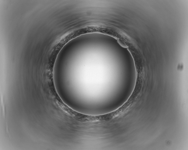 X0000092090822200709121511