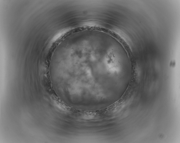X0000092090823200709121511