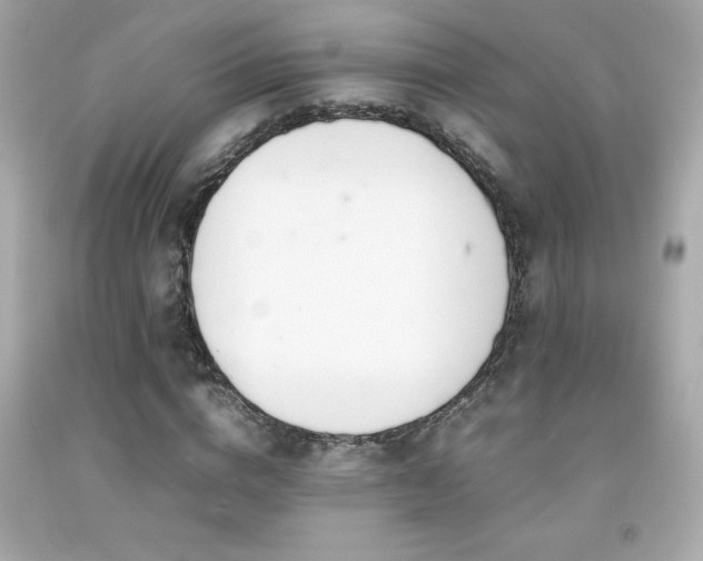 X0000092090824200709121511