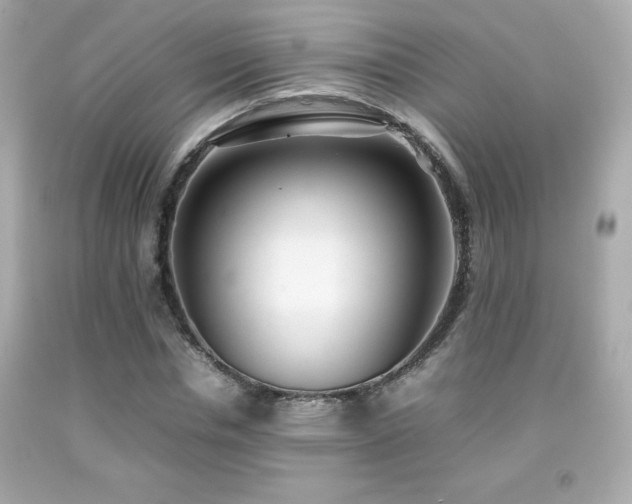 X0000092090826200709121511