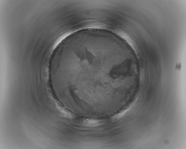 X0000092090829200709121511