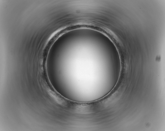 X0000092090830200709121511