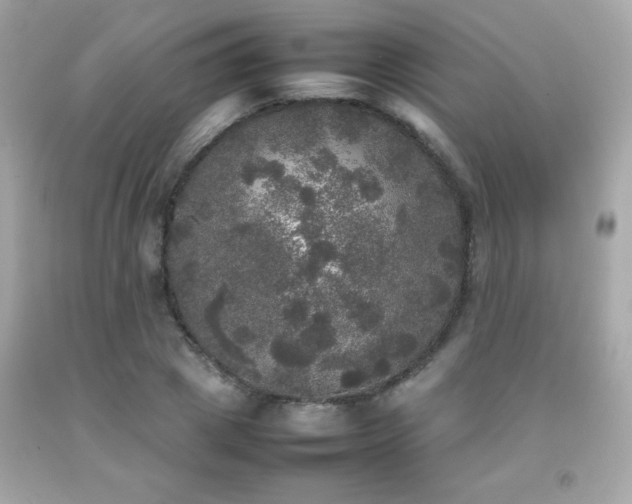 X0000092090833200709121511