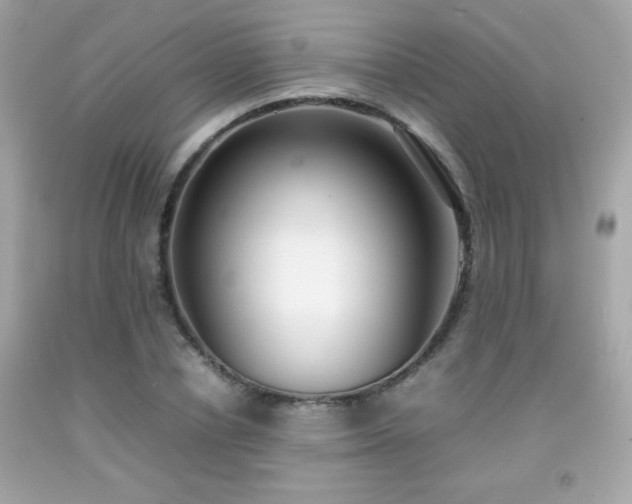 X0000092090834200709121511