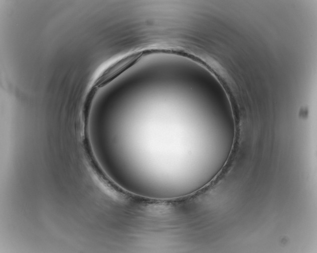 X0000092090838200709121511