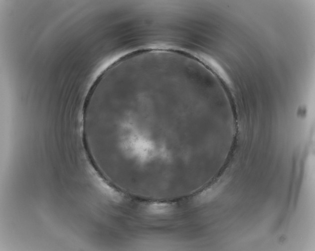 X0000092090839200709121511