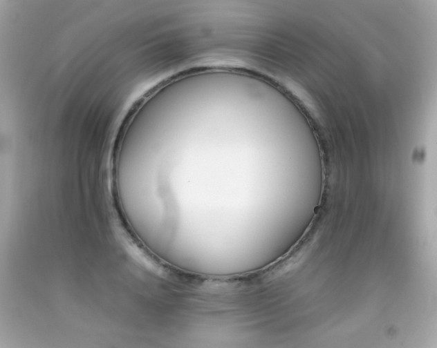 X0000092090840200709121511