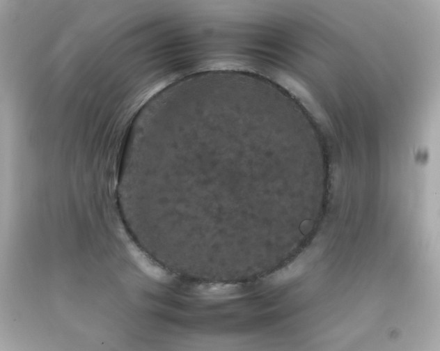 X0000092090841200709121511