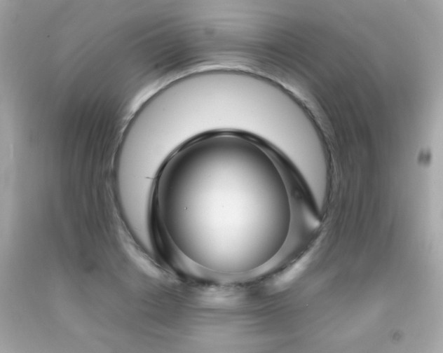 X0000092090842200709121511