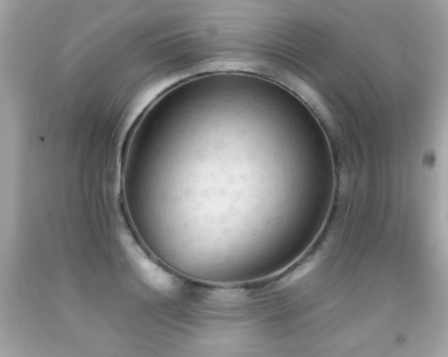 X0000092090844200709121511