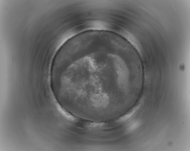 X0000092090845200709121511