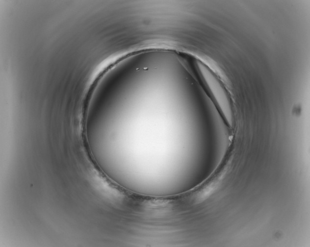 X0000092090846200709121511