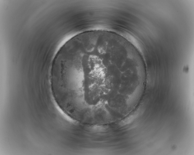 X0000092090847200709121511