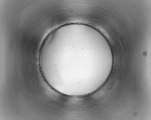 X0000092090848200709121511