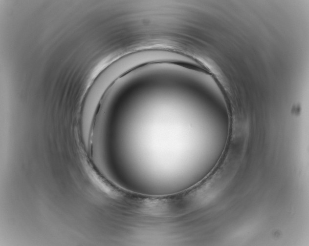 X0000092090850200709121511