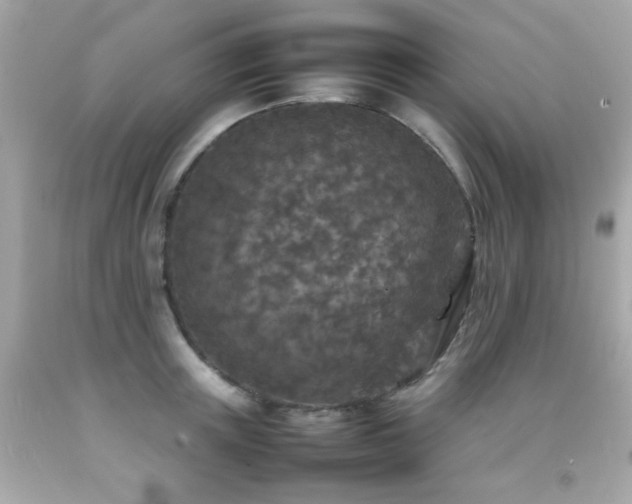 X0000092090851200709121511