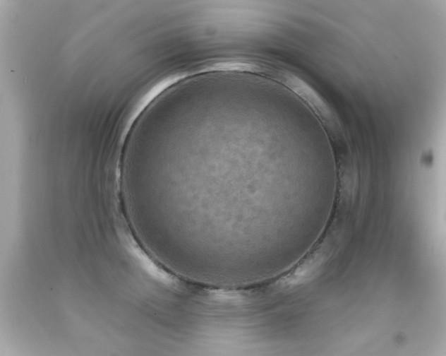 X0000092090852200709121511