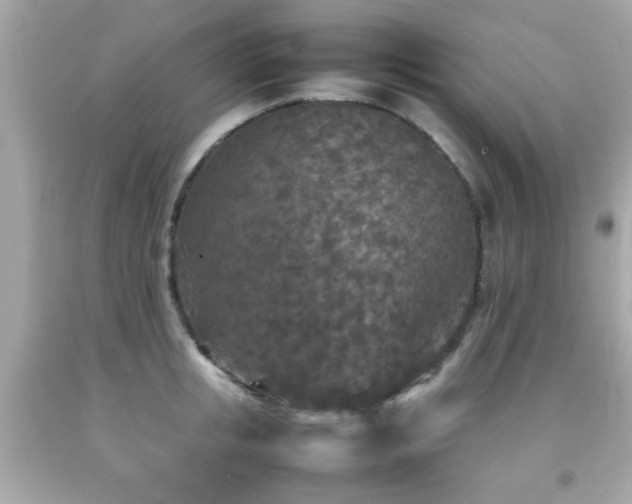 X0000092090853200709121511