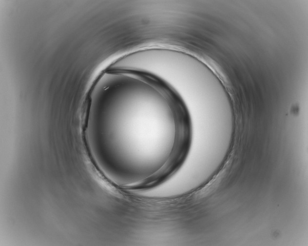 X0000092090854200709121511