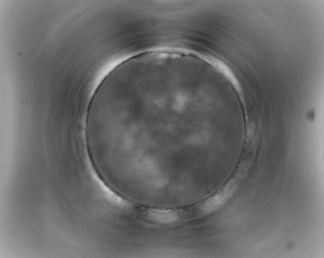 X0000092090855200709121511