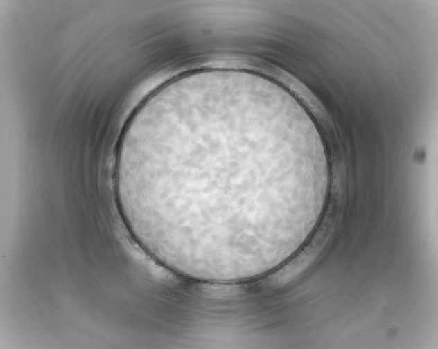 X0000092090856200709121511