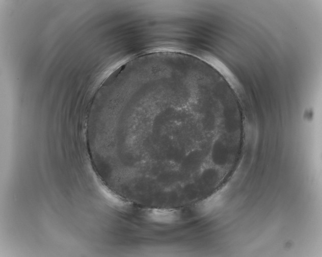 X0000092090857200709121511