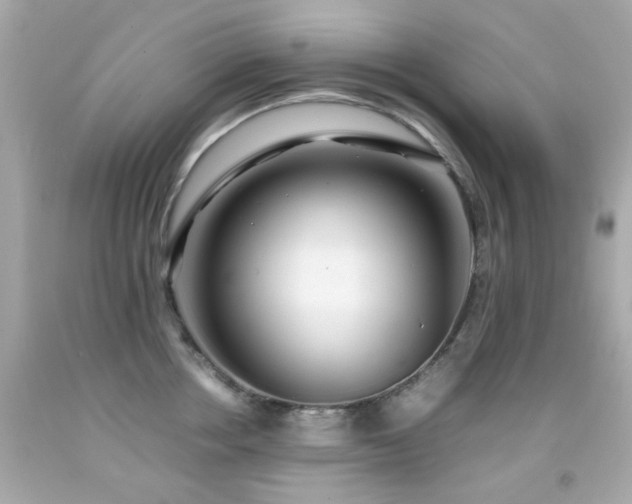 X0000092090858200709121511