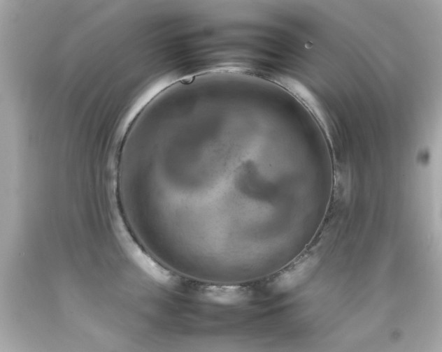 X0000092090859200709121511