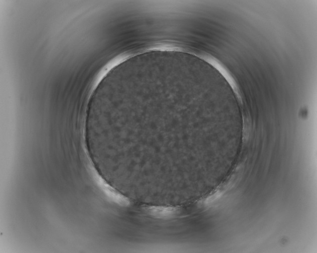 X0000092090861200709121511