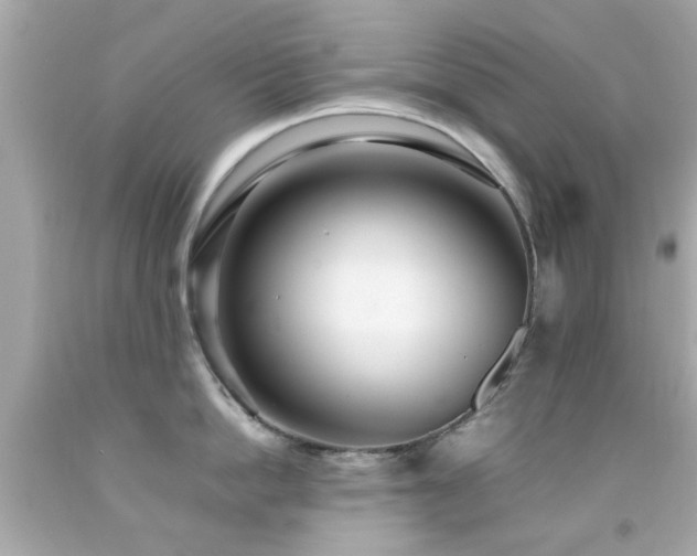X0000092090862200709121511