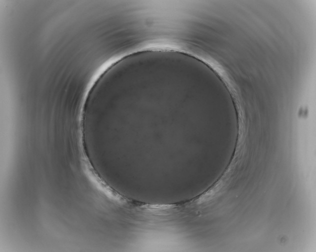 X0000092090864200709121511
