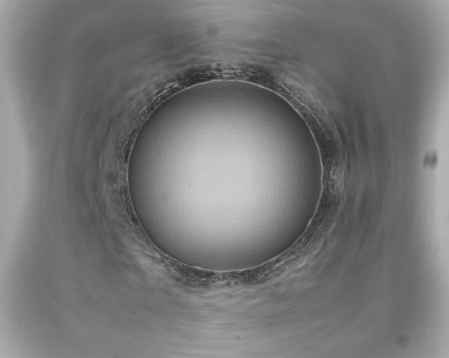 X0000092090865200709121511