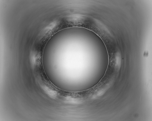 X0000092090866200709121510
