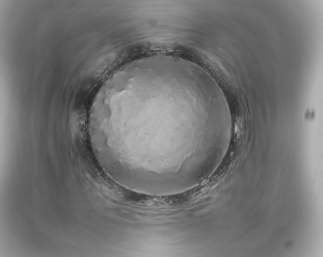 X0000092090867200709121510