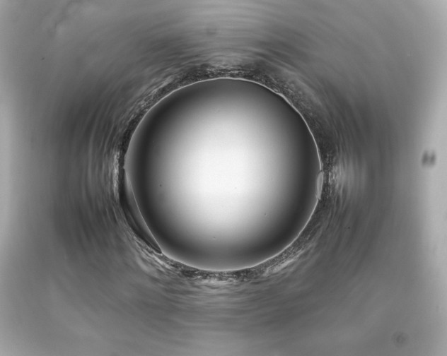 X0000092090868200709121510