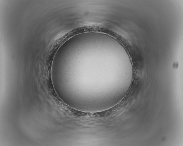 X0000092090869200709121510