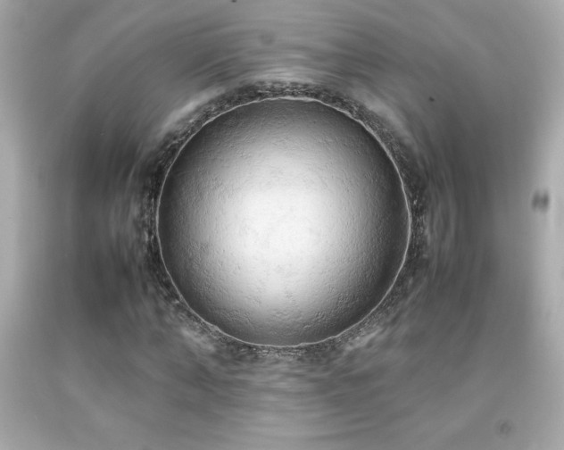 X0000092090870200709121510