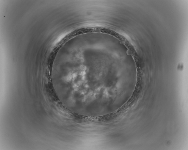 X0000092090871200709121510