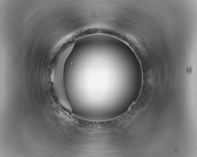 X0000092090872200709121510