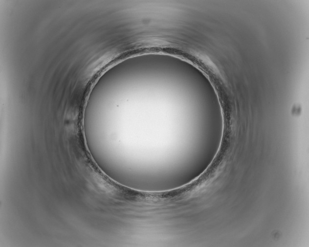 X0000092090873200709121510